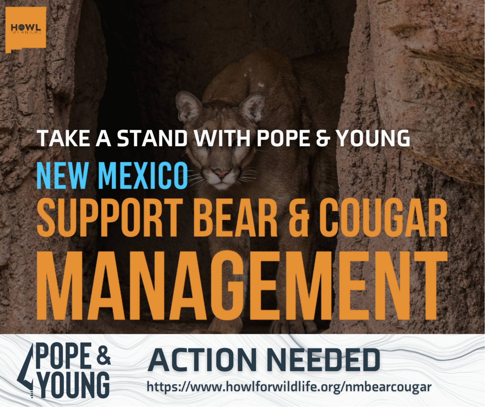 
STAND WITH POPE AND YOUNG IN NEW MEXICO
