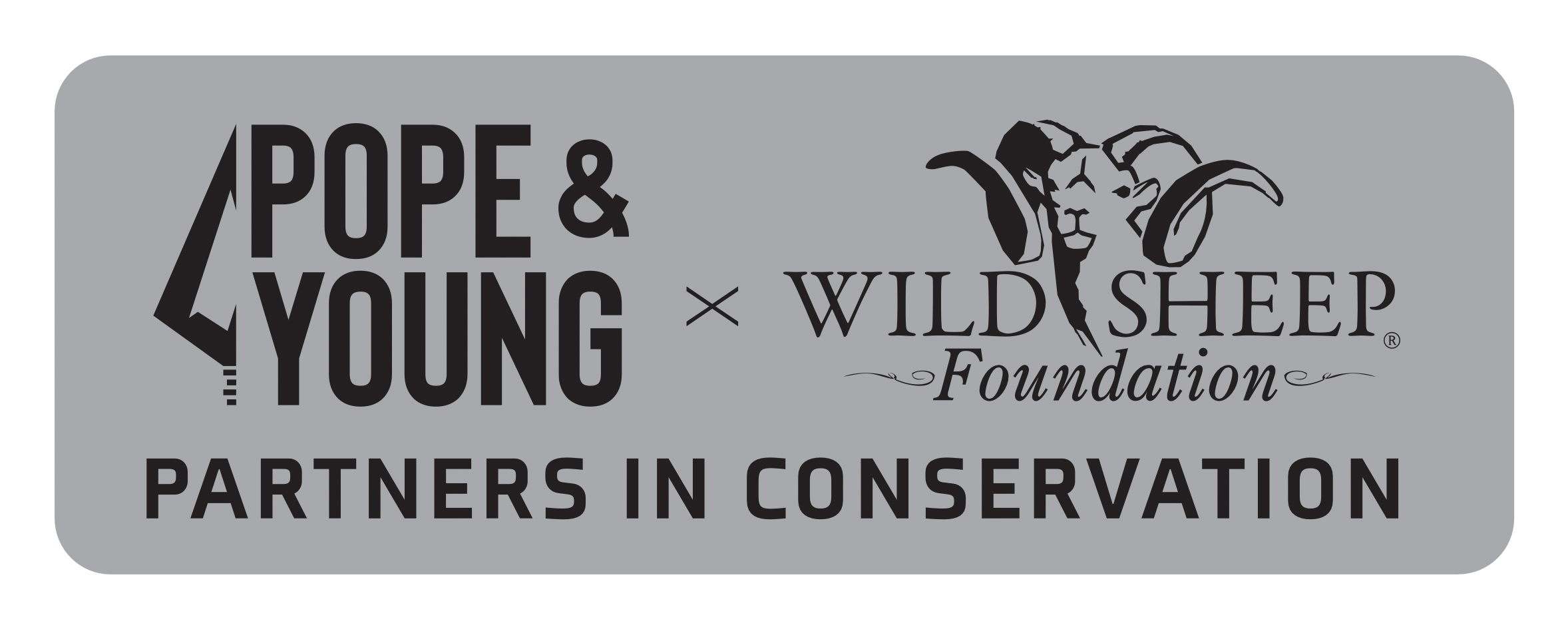 
Pope and Young and Wild Sheep Foundation
