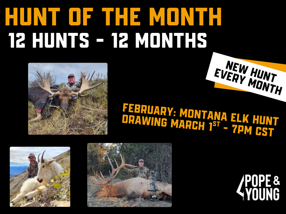 Hunt of the Month - January 2026