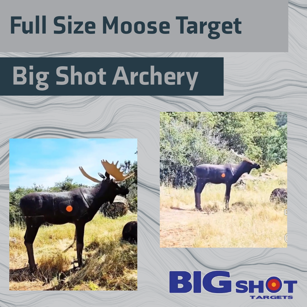 Big Shot Archery Target