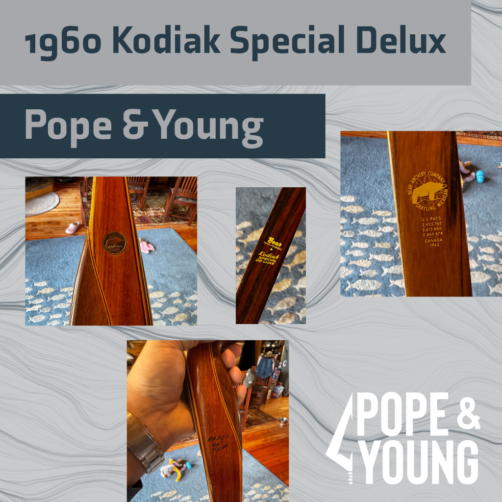 Historic Bow - Kodiac Special Delux