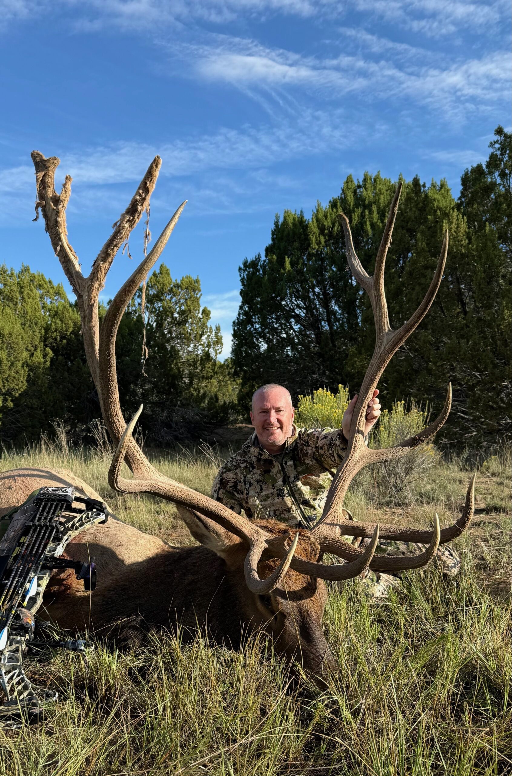 Trophy Velvet Elk Hunt