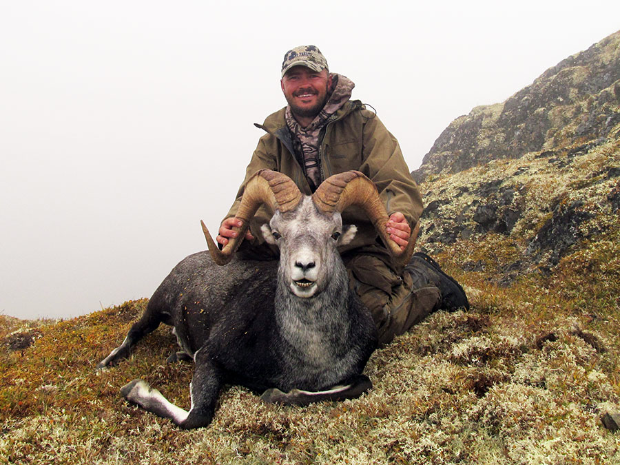 Stone Sheep Hunt