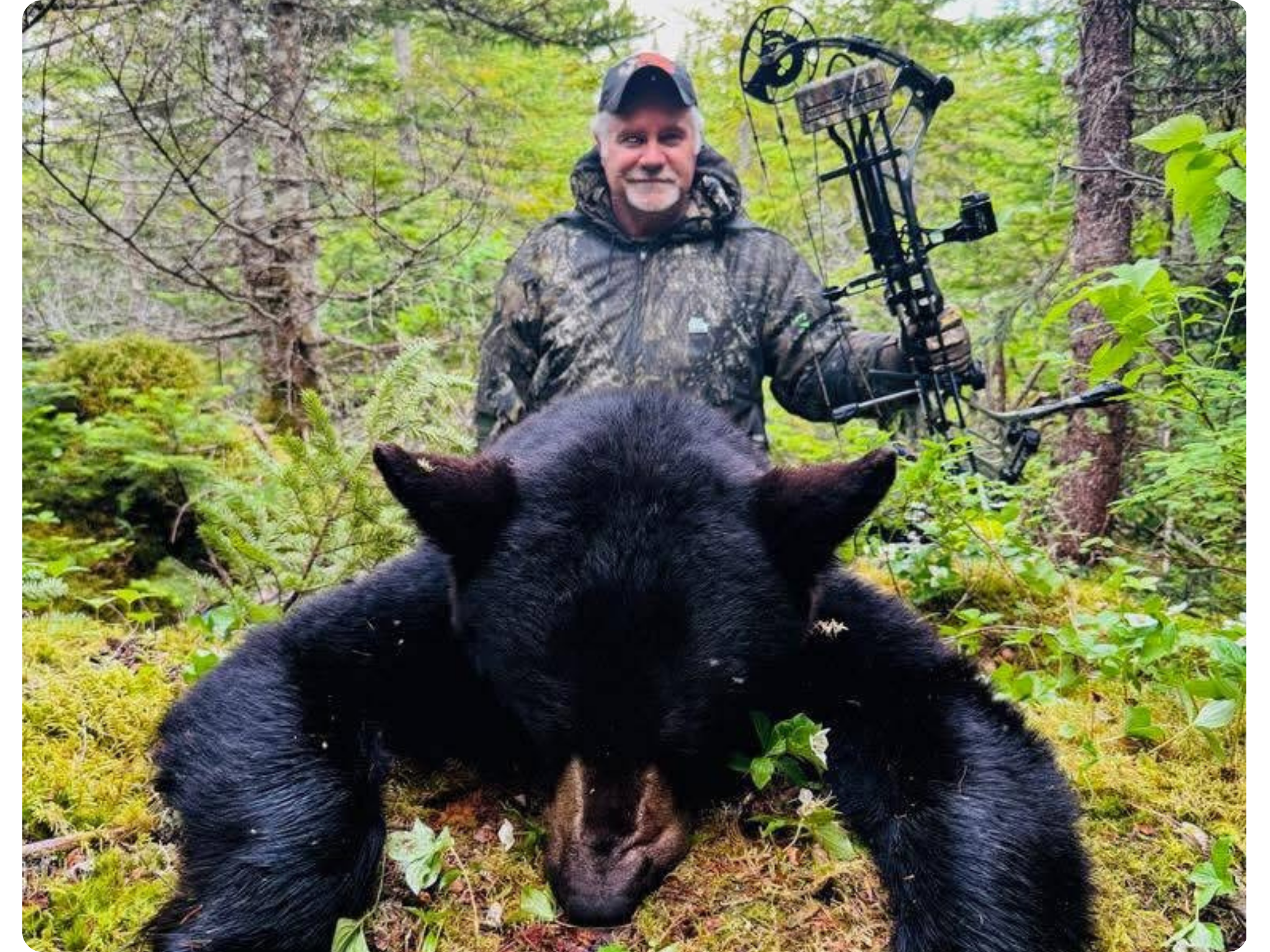 Black Bear Hunt