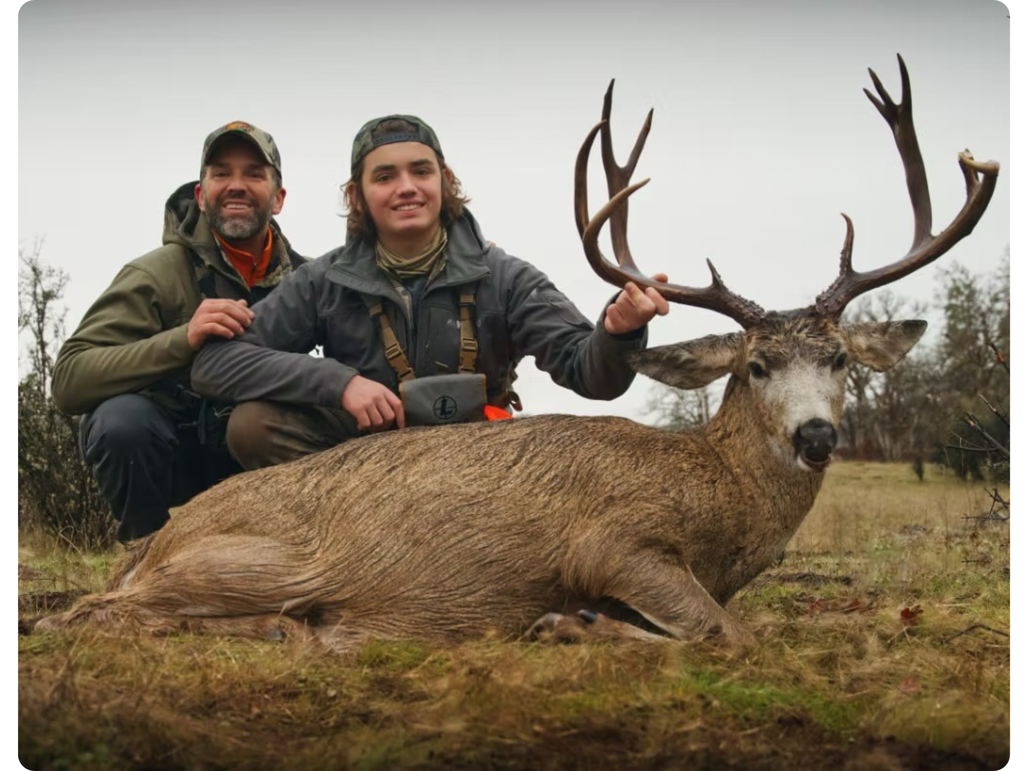 Blacktail Hunt