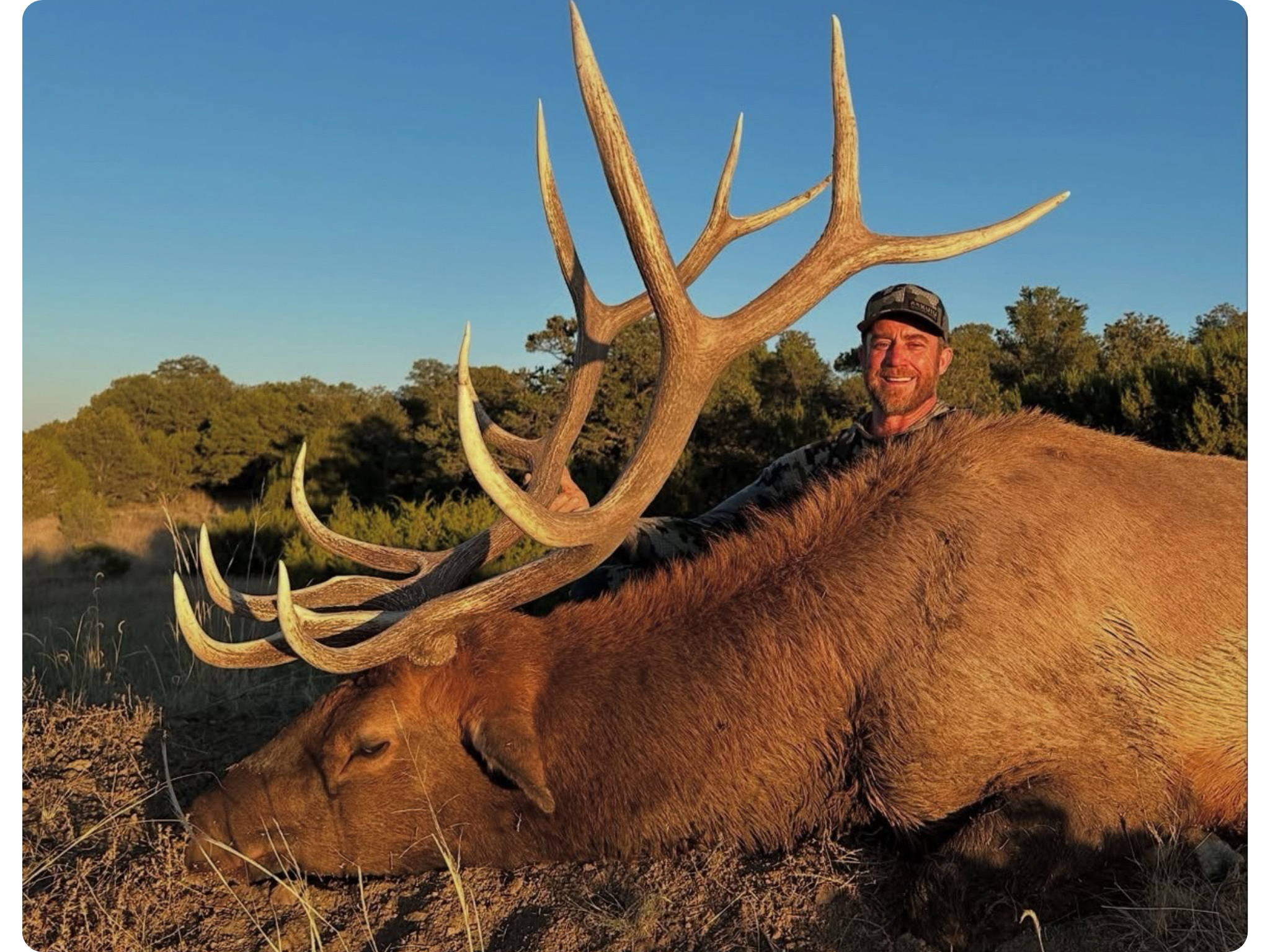 Archery Elk Hunt