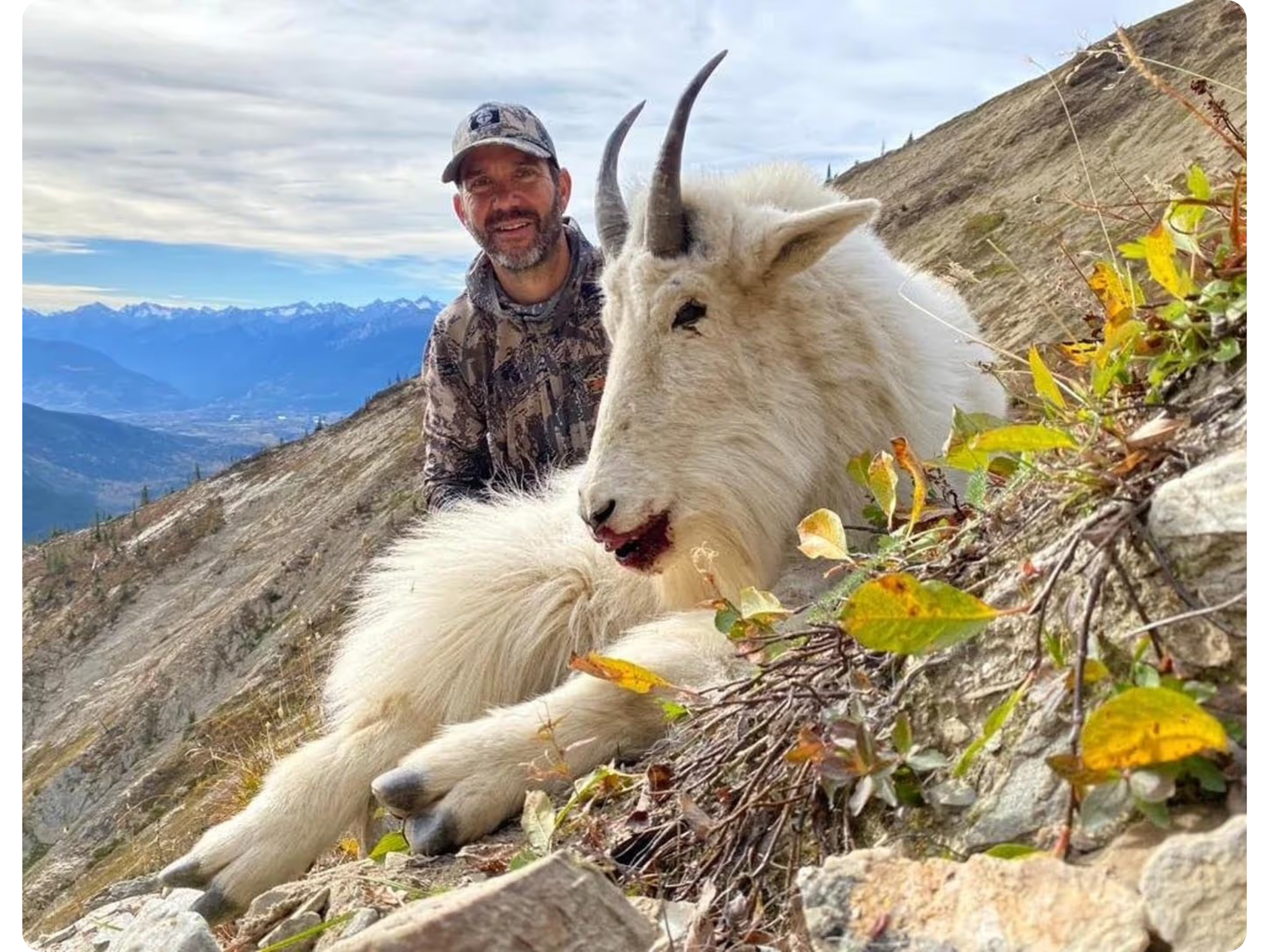 Mountain Goat Hunt
