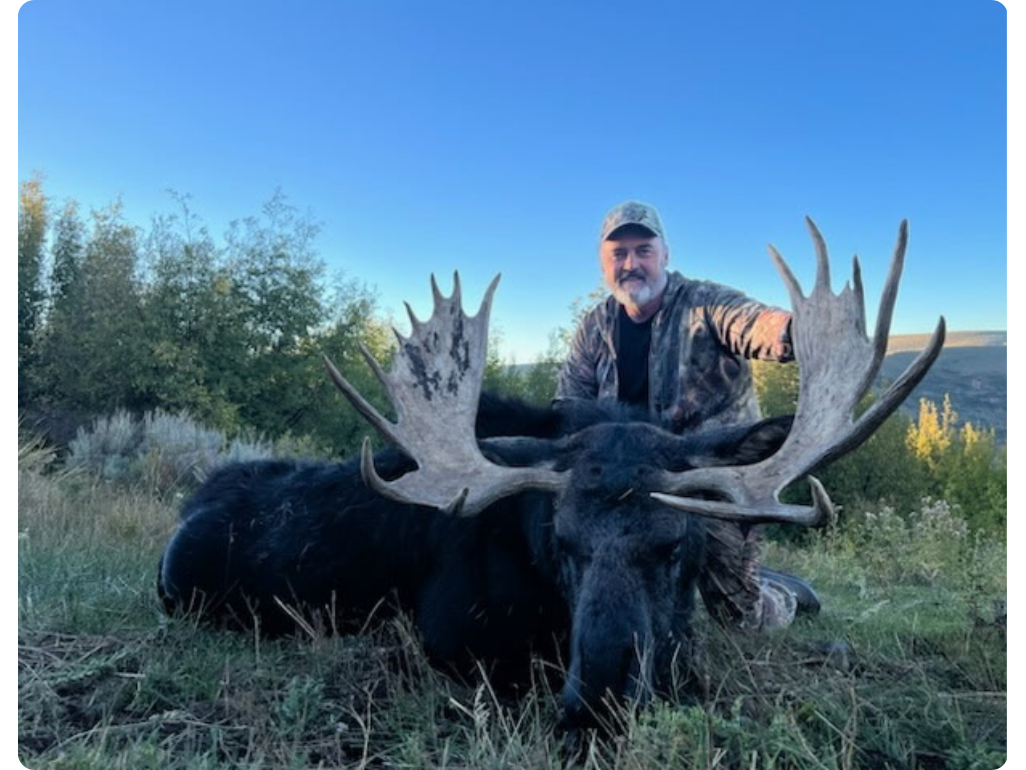 Shiras’ Moose Hunt