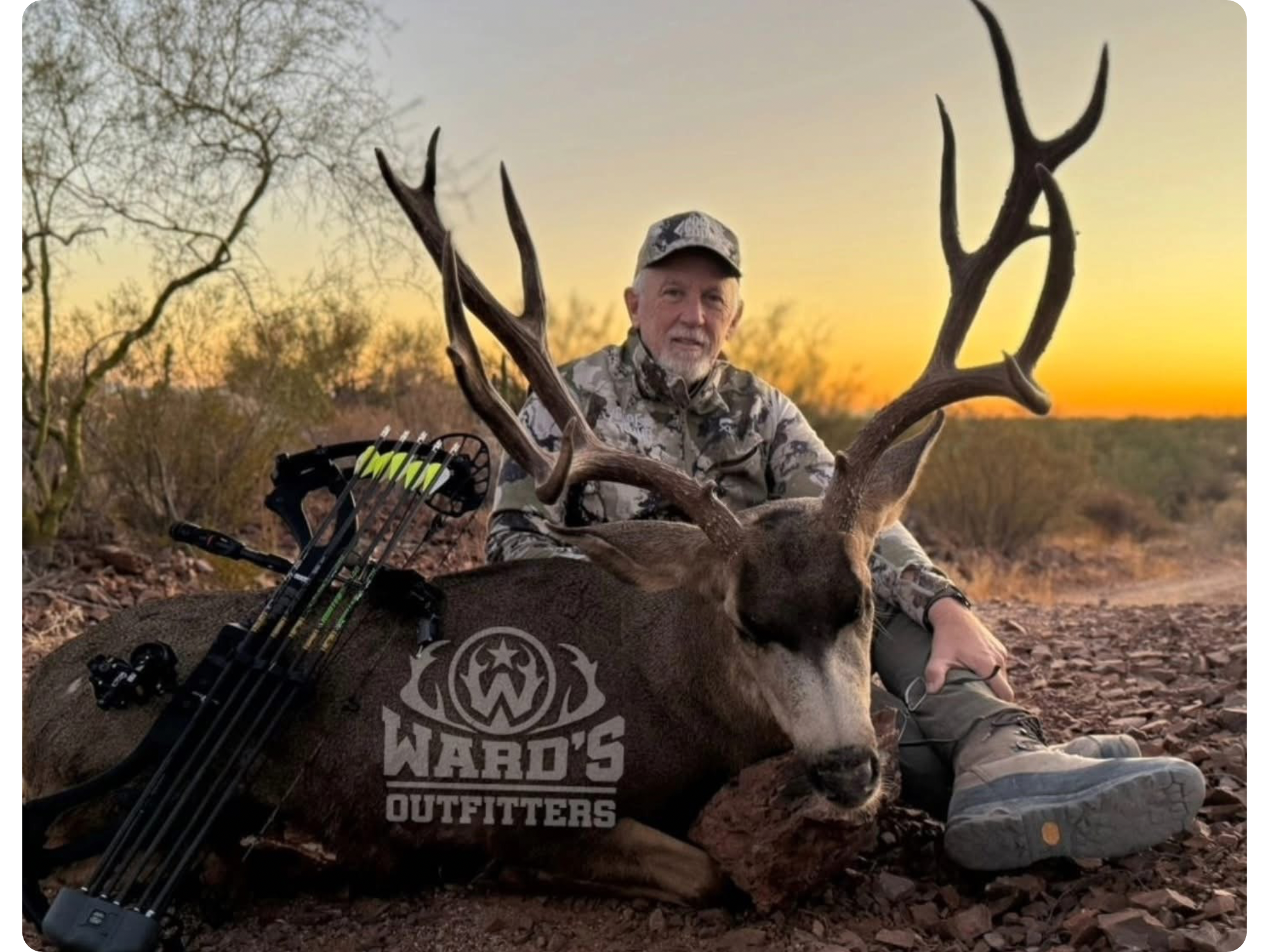 Mule Deer & Javelina Combo